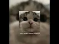 Олег Вінник-Наталі (speed up)