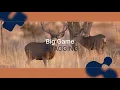 How to e-tag big game