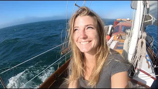 Salt & Tar: Ep.170- Ocean Medicine