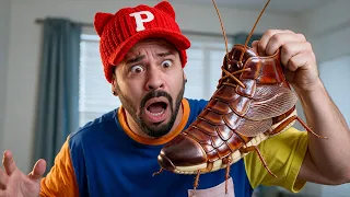 Zapatos de INSECTOS! 🐛 - Los Mejores SHORTS de Pucky Pacheco