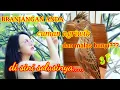 Download Lagu Branjangan Parva Gacor full isian - Branjangan Bakalan Dijamin Nyaut Durasi Panjang Tanpa Iklan