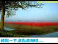 費玉清 - 晚安曲(鋼琴獨奏)