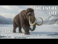 The Life Of The LAST Mammoth Documentary For Sleep