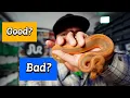 Are Morph Market Auctions WORTH IT
