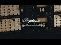 The Saxophones - Winter Moon (Easy Listening Edition)
