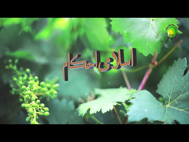 ⁣7   احكام مطهرات - استاد: محمد رضا