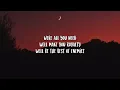Architects- Seeing Red Lyrics