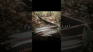 أنشودة سنخوض معاركنا معهم بدون موسيقى مع الكلمات فلسطين حرة لا موسيقى بدون موسيقى 