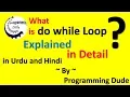 do while Loop in C Language