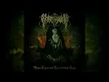 Download Lagu Schreigarm - Mara Comes and Darkness Shall Reign (2025) (FULL ALBUM)