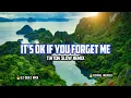 Download Lagu It' s Ok If You Forget Me - Dj Denz Rmx TikTok Slow Remix