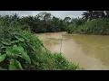 Download Lagu MANCING IKAN. PERMULAAN YANG SIGNIFIKAN..OK BOLEH BUAT RASA RASA. 