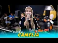 Download Lagu CAMELIA - RINDI SAFIRA - LATIHAN BARENG WONGJOWO MADIUN di MARKAS GB AUDIO PRO PONOROGO