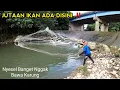 Download Lagu SAMPAI MERINDING.!! ikan dari mana asalnya,jala ikan dibawah jembatan angker,lihat hasilnya..