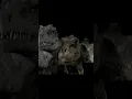 Download Lagu Whats worse than one Spino? #jurassicpark #jurassicworldrebirth  #undertale #spinosaurus #memes #sfm