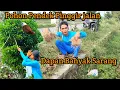 Download Lagu Banyak Sarang Burung Pinggir Jalan!! Pohon Nya Pendek Pula!!