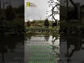 Download Lagu surah ar-ra'd ayat-11(syekh misyari rasyid)