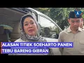 Download Lagu Panen Tebu bersama Gibran, Titiek Soeharto: Senang Jalan Bareng Mas Wapres