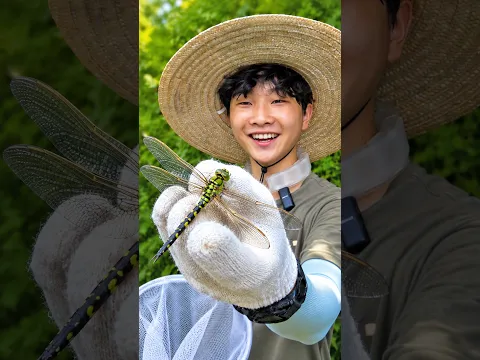 Yejun's Insects for Kids Outdoor Playground Activity