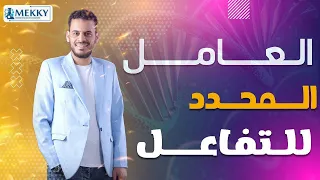 العامل المحدد للتفاعل 2024  العامل المحدد للتفاعل 2024