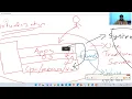 2 - EC2 Virtualization basic concepts with para virtual and hardware virtual pv and hvm