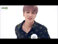NCT DREAM BOOM CHIPMUNK
