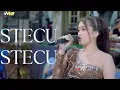 STECU ARSEKA MUSIK // VOC - LEVY BERLIA // HVS SRAGEN // MM PRO AUDIO // ARSEKA TERBARU
