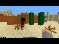 A turtle sandbox