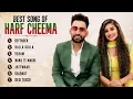 Best Song of Harf Cheema | Latest Punjabi Songs 2026 | Punjabi Hits Playlist | Defender | Veham