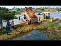 Lagu Perfectly Project! LANDFILL Delete Flooded Area Using Powerful Dozer D41PX Pushing Soil with Trucks