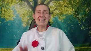 VIRGEM O que você precisa saber agora.