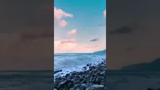 عليل يا ربي وأنت الطبيب عليل يريد دوا للذنوب  عليل يا ربي وأنت الطبيب عليل يريد دوا للذنوب