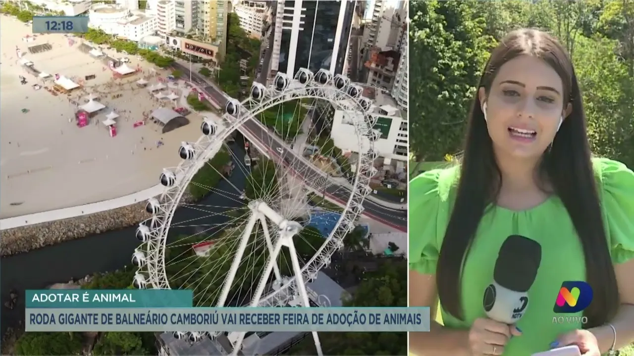 Roda gigante de Balneário Camboriú recebe feira de adoção