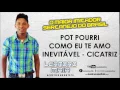 Leandro Maia - POT POURRI - Como eu Te Amo - Inevitável - Cicatriz (Áudio Ofical)