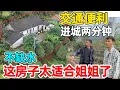Lagu 这房子太适合姐姐了，交通便利不缺水，进城只需要两分钟 适合送小孩上学
