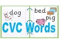 CVC Words Reading Practice Real and Nonsense Words