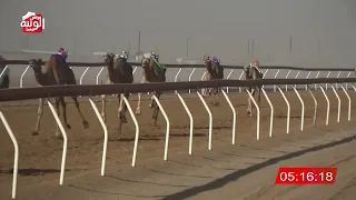 الشوط 13 الشامخه لـ محمود حمد بن محمد الدرعي 7 53 شارة الديوان 2024 12 12 لقايا سيح صبره 