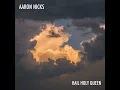 Hail Holy Queen - Aaron Nicks