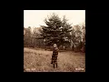 Taylor Swift-Willow (Audio)