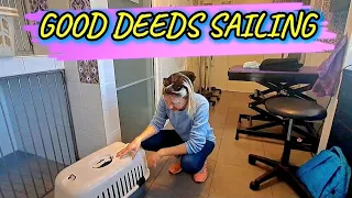 Quick UPDATE on PJ. Cat with OVER ACTIVE THYROID.