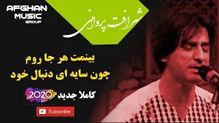 آهنگ جدید شرافت پروانی بینمت هر جا روم چون سایه دی دنبال خود 