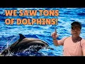 Clearwater Dolphin Cruise A review of the Clearwater Funboat Dolphin Ice Cream Cruise
