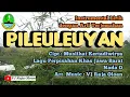 Download Lagu PILEULEUYAN Instrumental Lirik \u0026 Arti Terjemahan. Lagu Daerah Jawa Barat. Music : VJ Raja Oloan