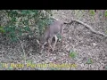 Illinois Permit Application Deadline Expires April 30th