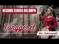 Download Lagu MUSIK TRADISIONAL SUNDA DEGUNG HALMPU || TONGGERET ANI SUKMAWATI