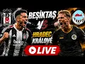Besiktas vs Hradec Kralove LIVE European Football Clash 2026