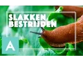 Download Lagu Slakken in de moestuin bestrijden! - Grow, Cook, Eat #24