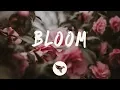 Download Lagu Dabin - Bloom (Lyrics) ft. Dia Frampton