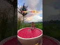 Download Lagu instagram vs. reality (part 5) #shorts #travel #adventure #tiktok #instagramvsreality #viral