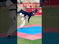 Download Lagu Fight Back #fightback #selfdefense #selfdefence #taekwondo #rajatayyab #karate #action #ytshorts